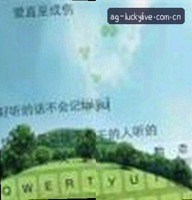 赵强